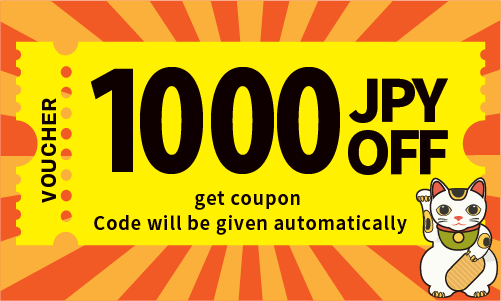 The coupon code will be automatically added.